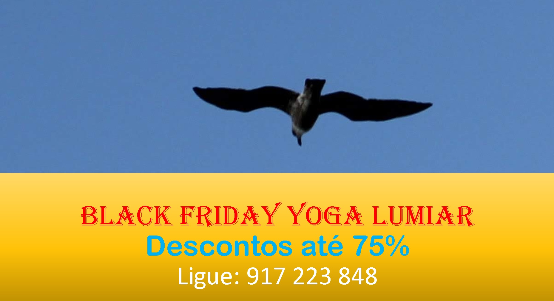Black Friday Yoga Lumiar